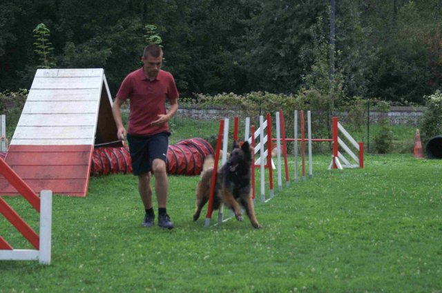 agility 2011-09